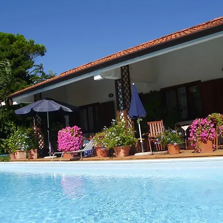 Pane & Tulipani Hotel 3*