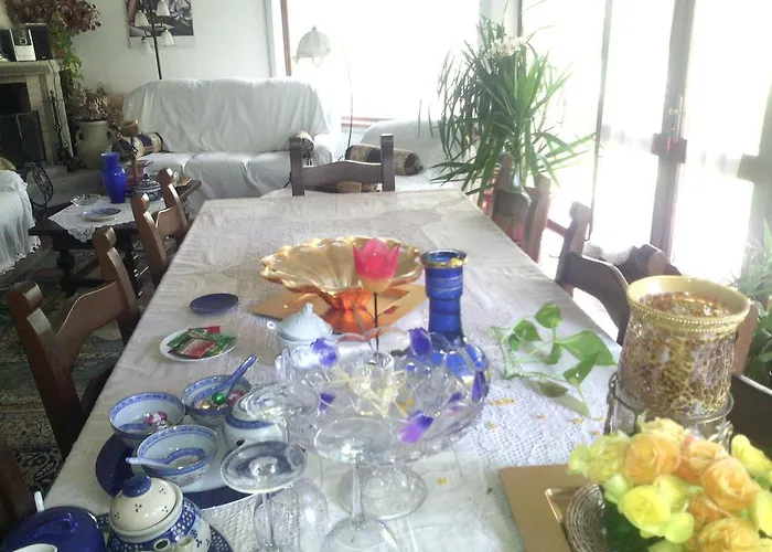 Pane & Tulipani Duino