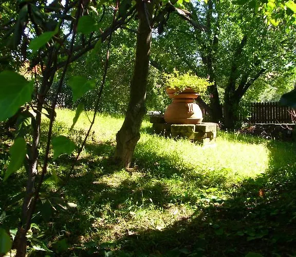 Pane & Tulipani Hotel 3*