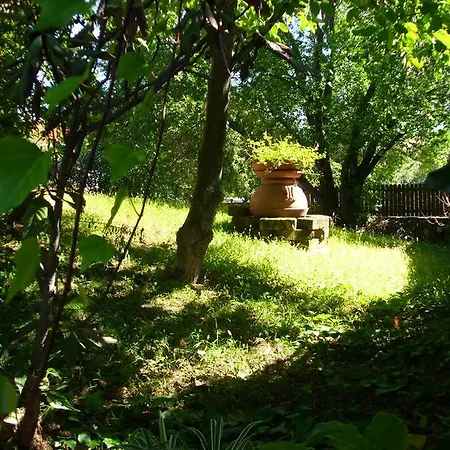 Pane & Tulipani Hotel 3*