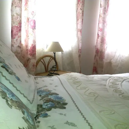 Pane & Tulipani ホテル